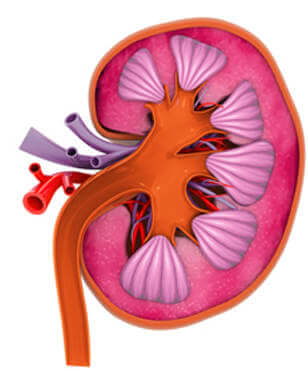 kidney-cancer-treatment-in-gurgaon